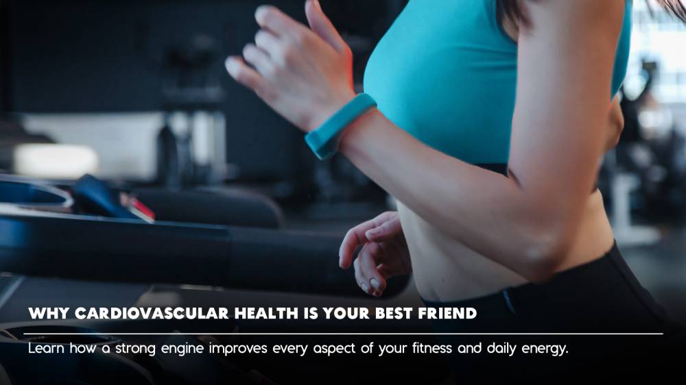 The Engine Room: Why Cardiovascular Health is Your Best Friend