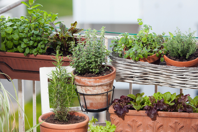 Window box