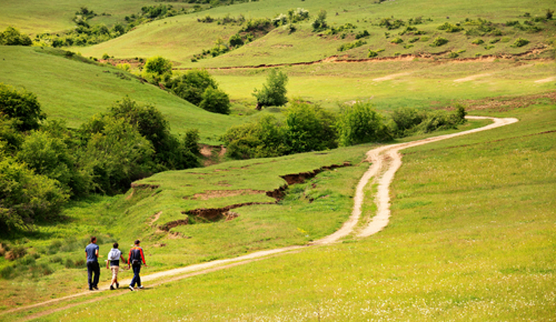 Countryside scene